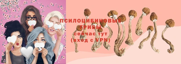 прущие крисы Няндома