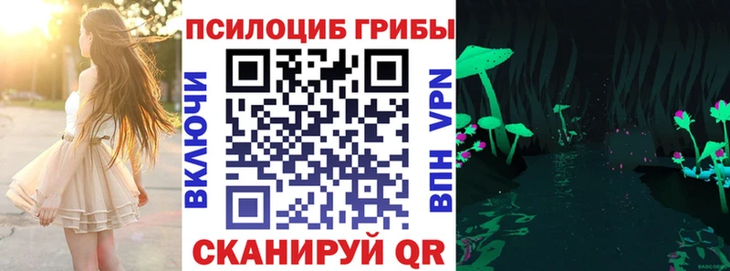 Галлюциногенные грибы MAGIC MUSHROOMS  магазин продажи   Кувшиново 