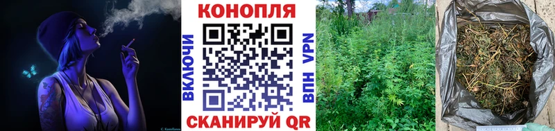 Бошки марихуана OG Kush  мориарти формула  Кувшиново  kraken онион 
